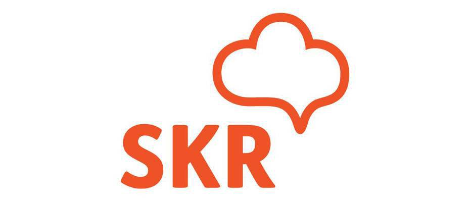 skr.de
